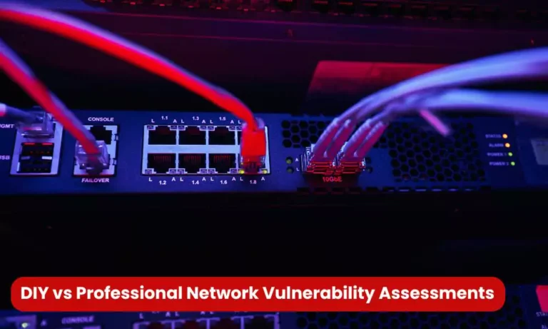 DIY vs Professional Network Vulnerability Assessments